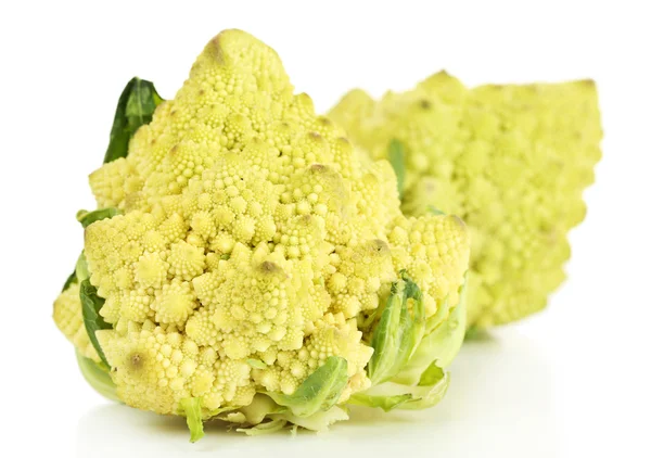 Romanesco brokkoli elszigetelt fehér — Stock Fotó