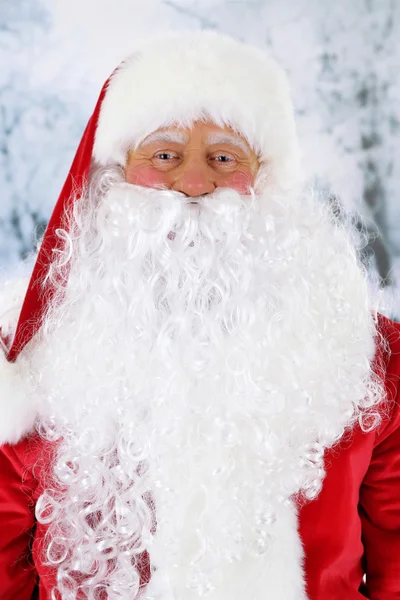 Santa Claus on light background — Stock Photo, Image