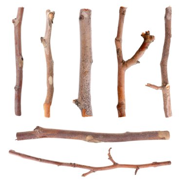 Kuru ağaç dalları beyaz üzerine izole edilmiş