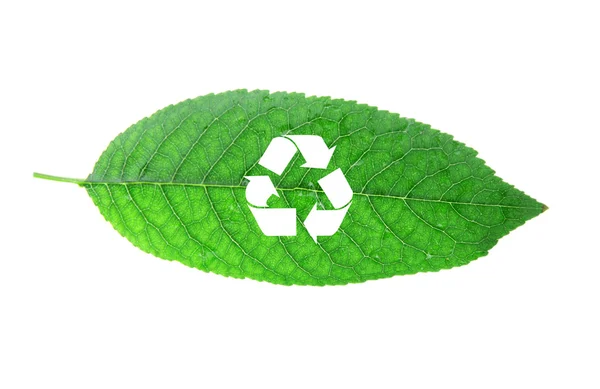 Recycle op groen blad — Stockfoto