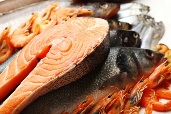 Fresh catch of fish and other seafood close-up — Stock Photo, Image