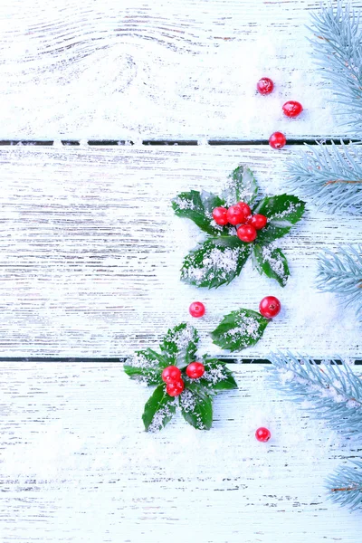 European Holly with berries and fir tree — Stock Photo, Image