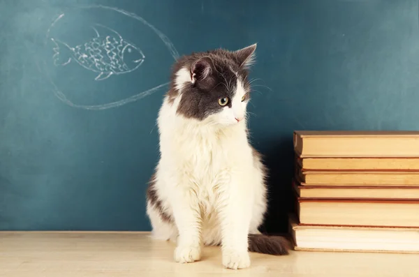 Schattig cute kat, zittend op tafel in de buurt van groene schoolbord — Stockfoto