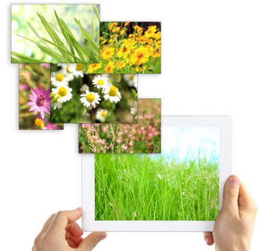Tablet Pc el ve doğa nesneleri üzerinde beyaz izole görüntüleri