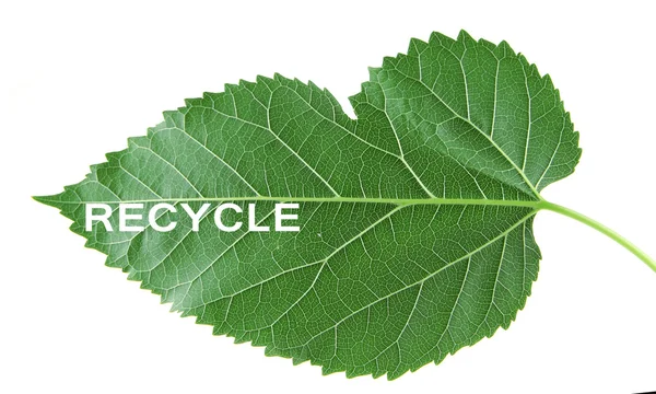 Símbolo de reciclagem de palavras na folha verde — Fotografia de Stock