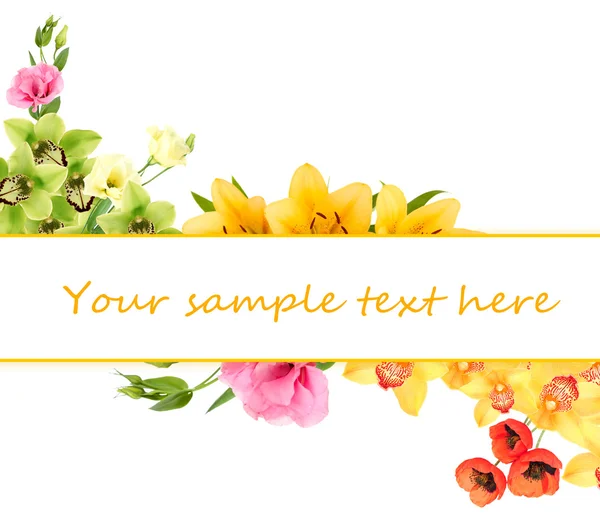 Beautiful flowers and card with space for your text isolated on white — Stock Photo, Image