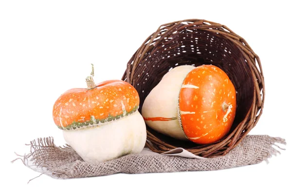 Calabazas ornamentales rojas aisladas en blanco — Foto de Stock