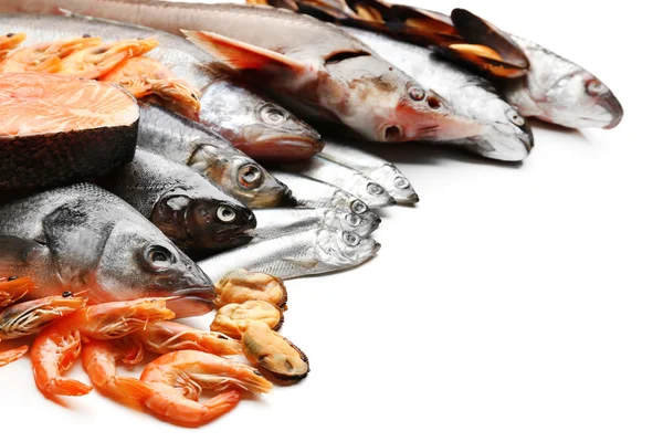 Fresh catch of fish and other seafood close-up — Stock Photo, Image