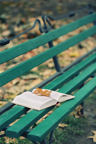 Livro aberto com folha deitada no banco no parque de outono — Fotografia de Stock