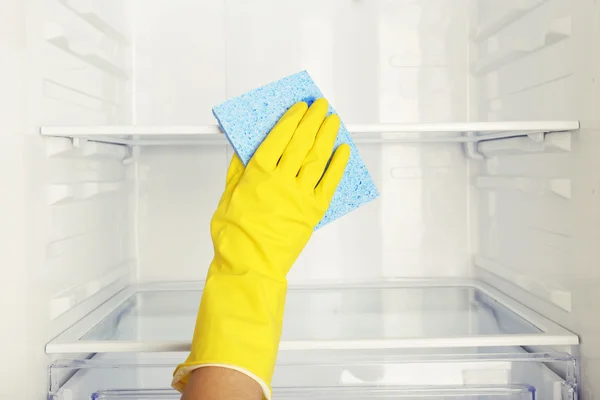 Woman's hand washing refrigerator with duster Stock Picture