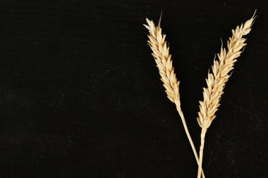 Siyah ahşap zemin üzerine buğday spikelets