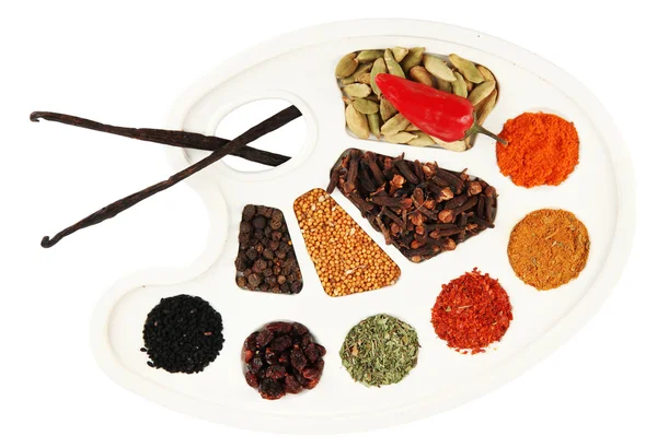 Painting palette with various spices and herbs, isolated on white — Stock Photo, Image