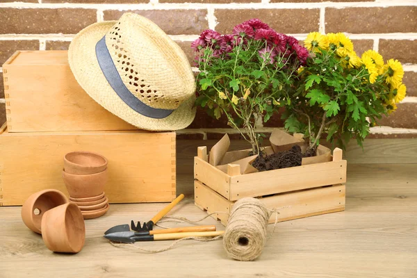 Fiori in vaso, terriccio, annaffiatoio e piante su fondo mattone. Piantare fiori concetto — Foto Stock