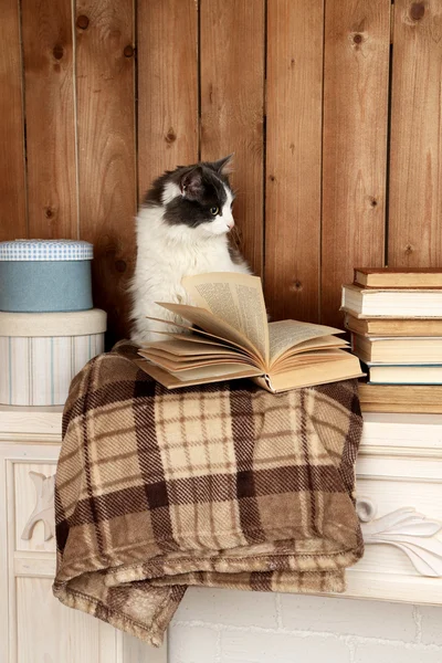 Cute cat sitting with book on plaid — Stock Photo, Image