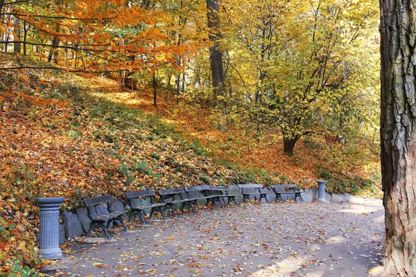 Аллея с деревянной скамейкой в парке осенью — стоковое фото