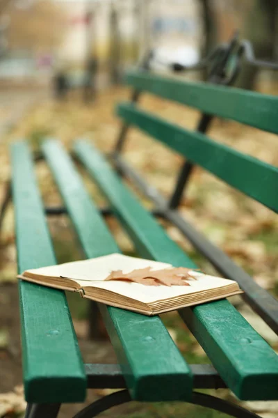 Libro abierto con hojas tumbadas en el banco en el parque de otoño —  Fotos de Stock