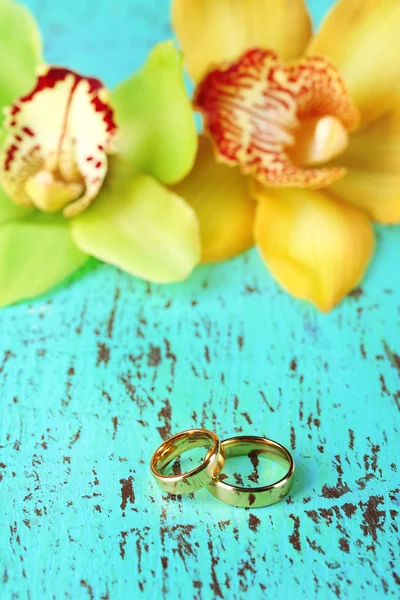 Anneaux de mariage et fleurs d'orchidée, gros plan, sur fond de bois couleur — Photo