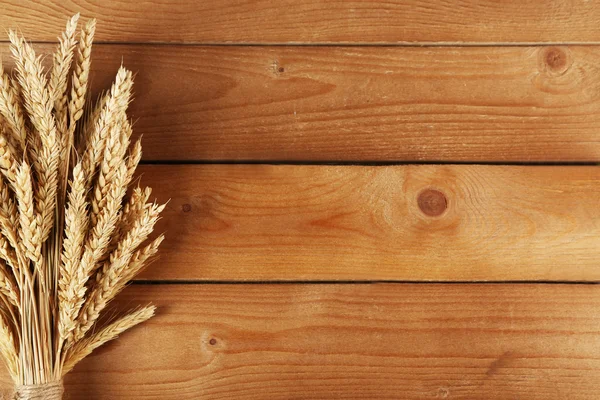 Espiguillas de trigo — Foto de Stock