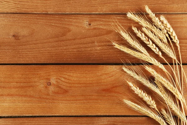 Spikelets of wheat — Stock Photo, Image