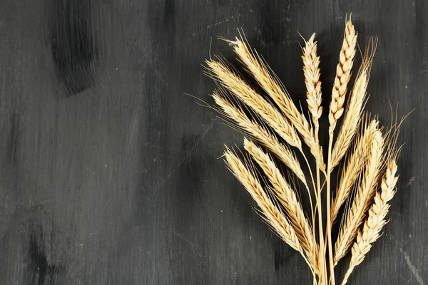 Spikelets of wheat — Stock Photo, Image