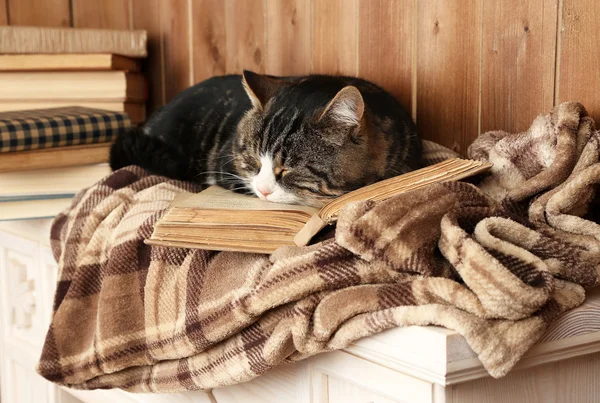 Şirin kedi ekose kitap ile yalan — Stok fotoğraf