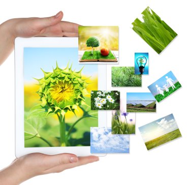 Tablet Pc el ve doğa nesneleri üzerinde beyaz izole görüntüleri