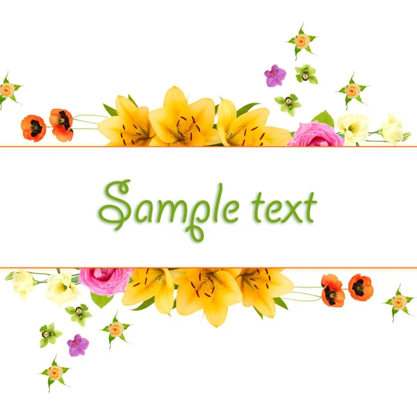 Hermosas flores y tarjeta con espacio para su texto aislado en blanco —  Fotos de Stock