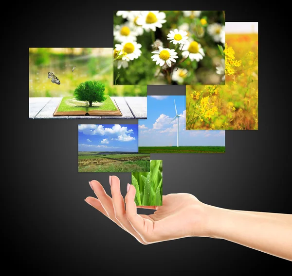 Images of nature objects in hand isolated on black — Stock Photo, Image