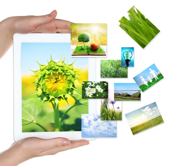 Tablet PC em mãos e imagens de objetos da natureza isolados em branco — Fotografia de Stock