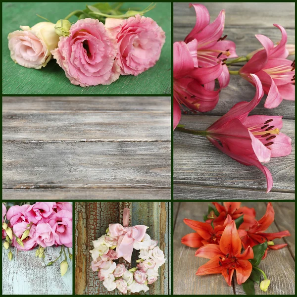 Collage of photos with flowers — Stock Photo, Image