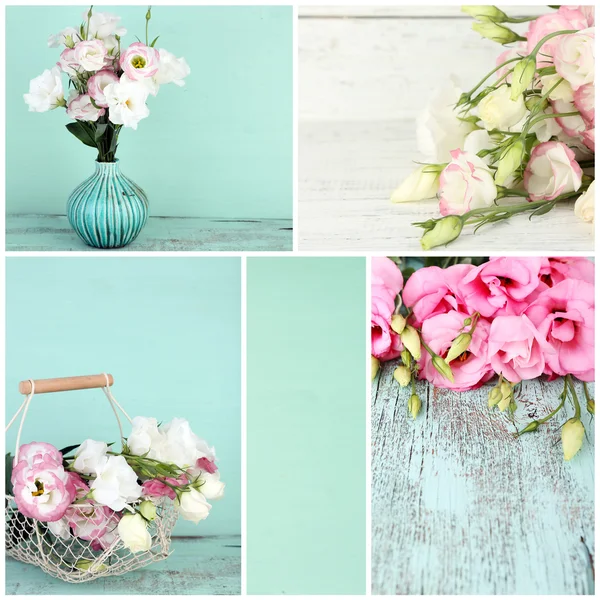 Collage de photos avec des fleurs — Photo