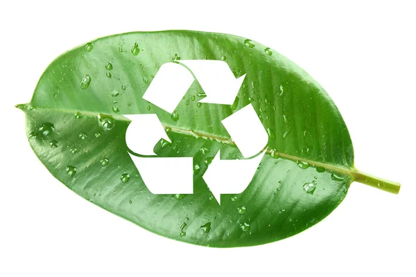 Recycling-Symbol auf grünem Blatt, Recycling-Konzept — Stockfoto