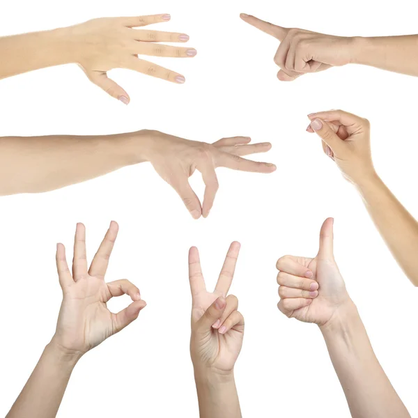 Hand collage, gestures set — Stock Photo, Image