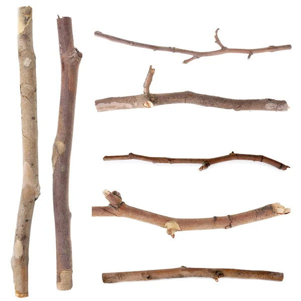 Ramos de árvores secas — Fotografia de Stock