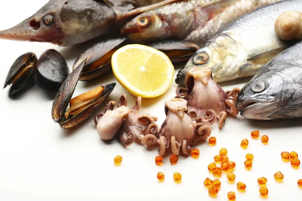 Capturas frescas de peixes e outros frutos do mar — Fotografia de Stock