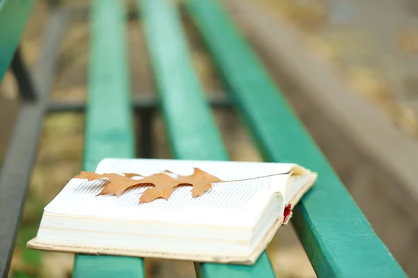 Livre ouvert avec feuille couchée sur le banc dans le parc d'automne — Photo
