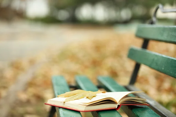 Libro aperto con foglia su di esso sdraiato sulla panchina nel parco autunnale — Foto Stock