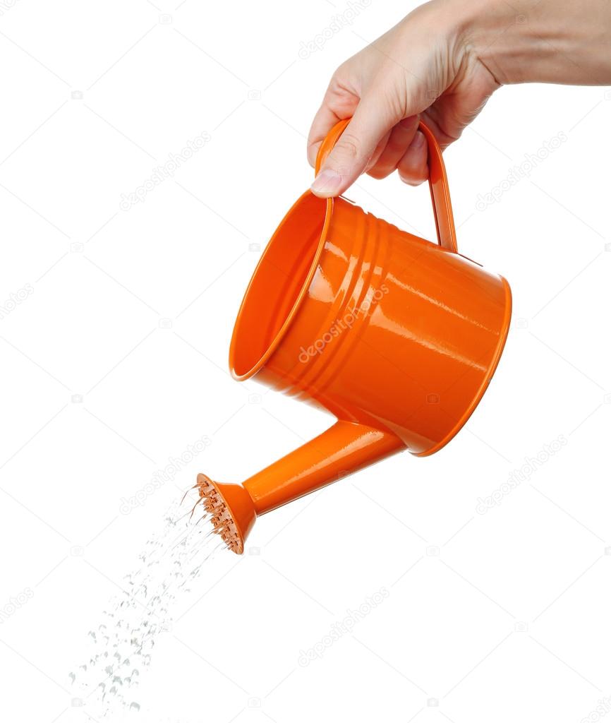 Water pouring from watering can isolated on white