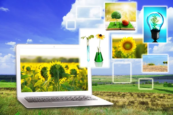 Laptop en eco thema-afbeeldingen op de achtergrond van de natuur — Stockfoto