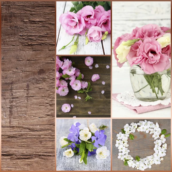 Collage of photos with flowers on wooden background — Stock Photo, Image