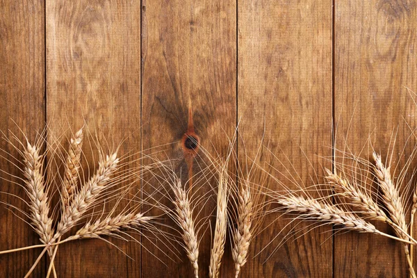 Колоски пшеницы — стоковое фото