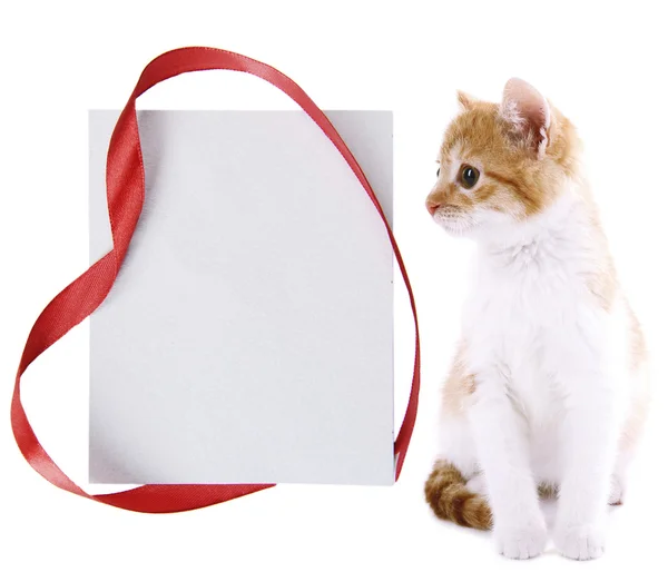 Little kitten with empty greeting card isolated on white — Stock Photo, Image