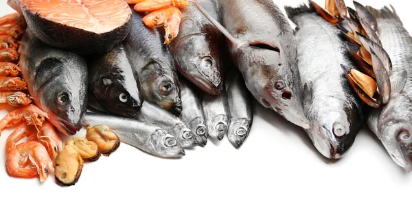 新鲜的渔获的鱼和其他海鲜特写 — 图库照片