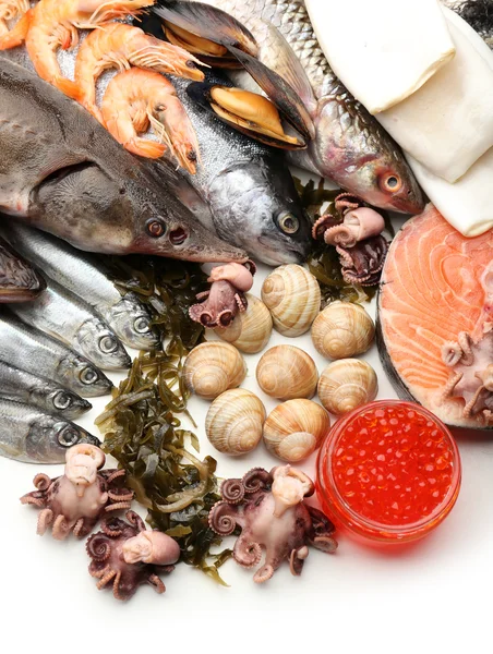 Fresh catch of fish and other seafood close-up — Stock Photo, Image
