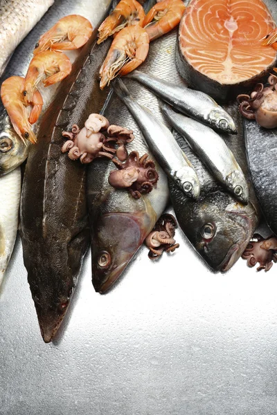Captures fraîches de poissons et autres fruits de mer gros plan — Photo