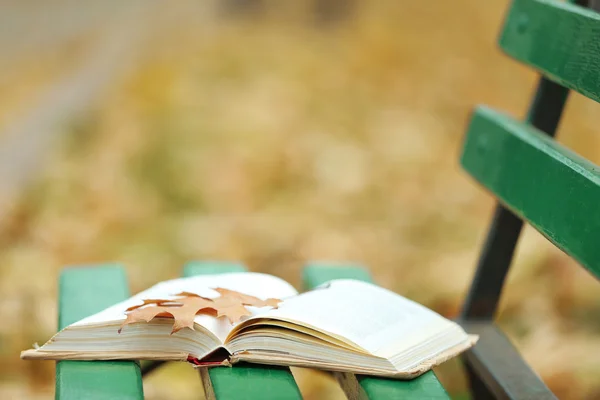 Libro aperto con foglia sdraiata sulla panchina nel parco autunnale — Foto Stock