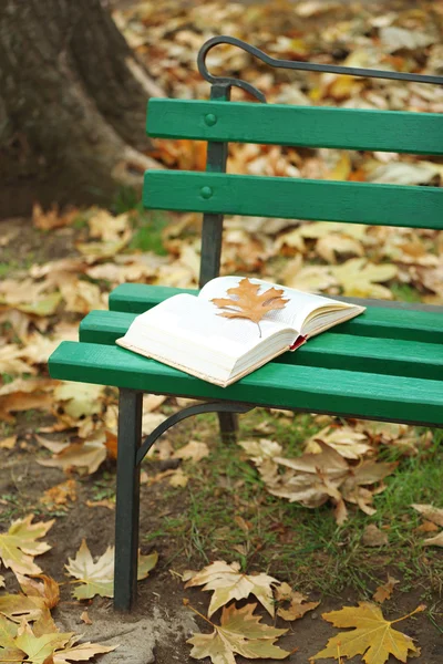 Livro aberto com folha deitada no banco no parque de outono — Fotografia de Stock