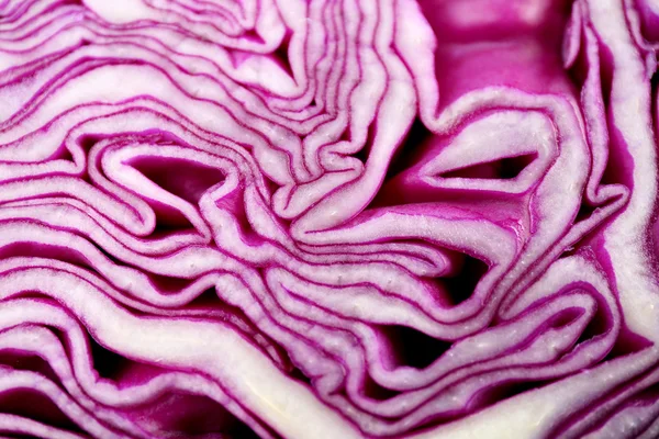 Red cabbage texture — Stock Photo, Image