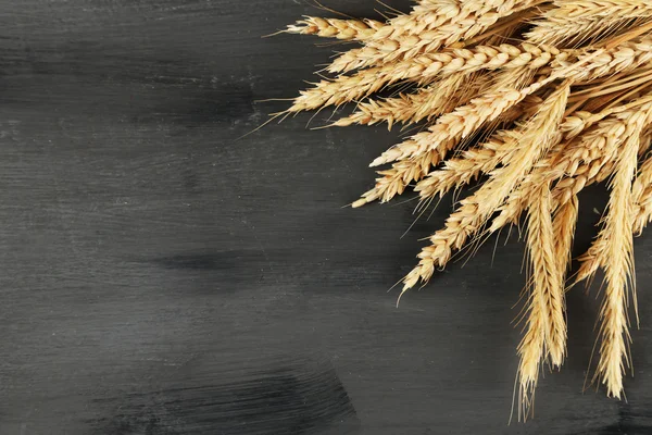 Espiguillas de trigo sobre fondo de madera oscura — Foto de Stock