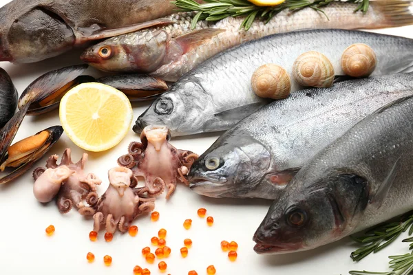 Fresh catch of fish and other seafood close-up — Stock Photo, Image